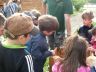 SDC13821.JPG