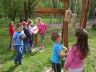 SDC13919.JPG