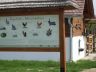 SDC13955.JPG